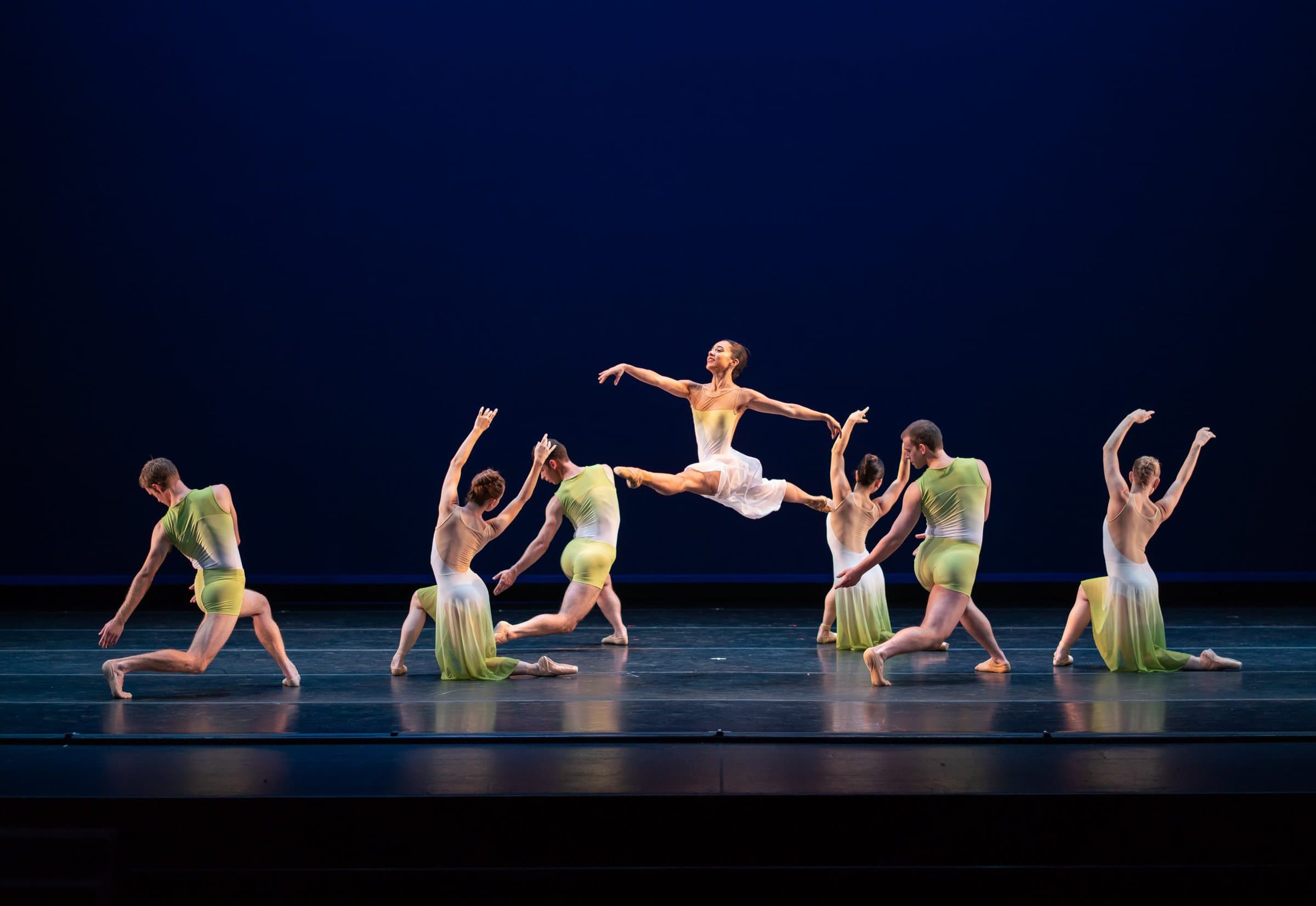 Tess leaping through the air! Photo by Chris Hardy